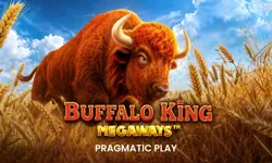 Buffalo King Megaways slot by Pragmatic Play